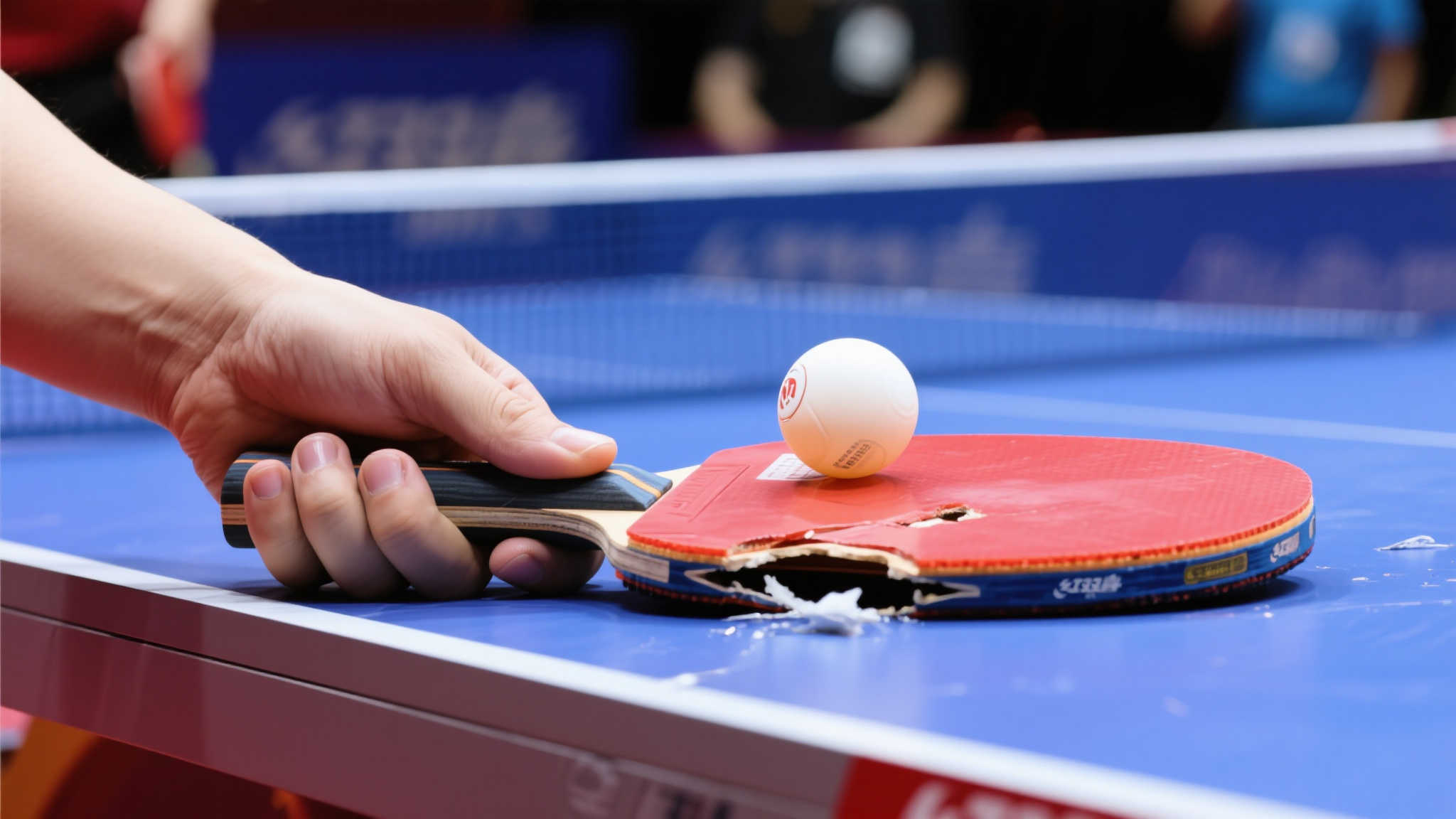 這番話讓後 這番話讓後